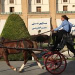 Ispahan Slider horse-drawn carriages