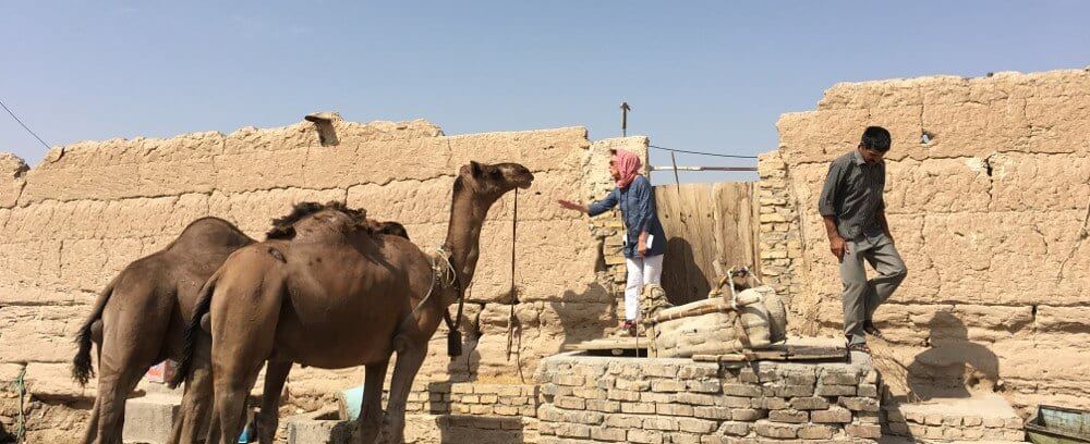 Yazd – Le village de Saryazd et plus encore 