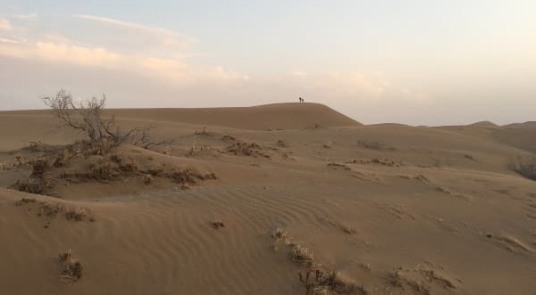 Dunes iraniennes