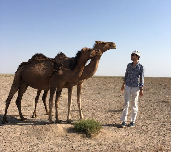Marcel and the camels