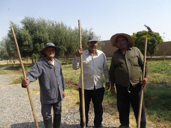 Meeting of gardeners in the garden of Dolat Abad in Yazd 